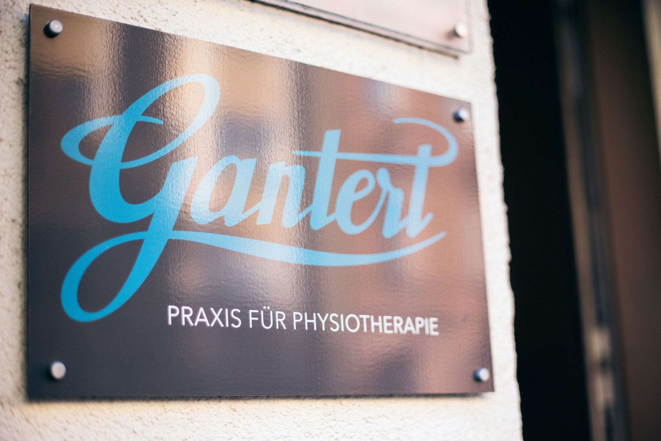 Gantert,PHYSIO_164